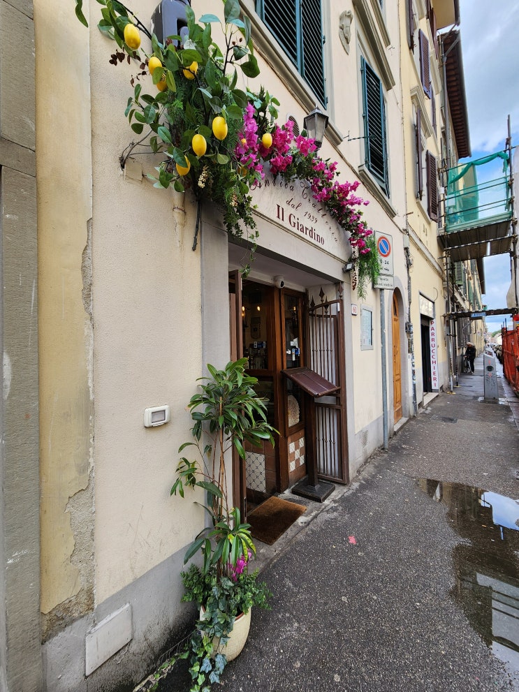  '25.03 이탈리아 트라토리아 일 지아르디노 추천