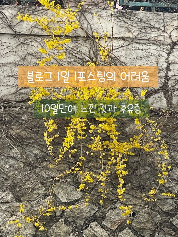  블로그 1일 1포스팅의 어려움