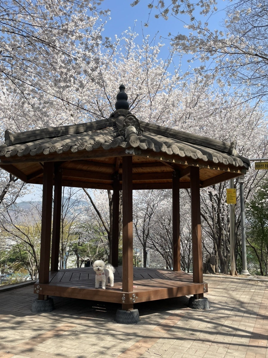 연지못 사진 1