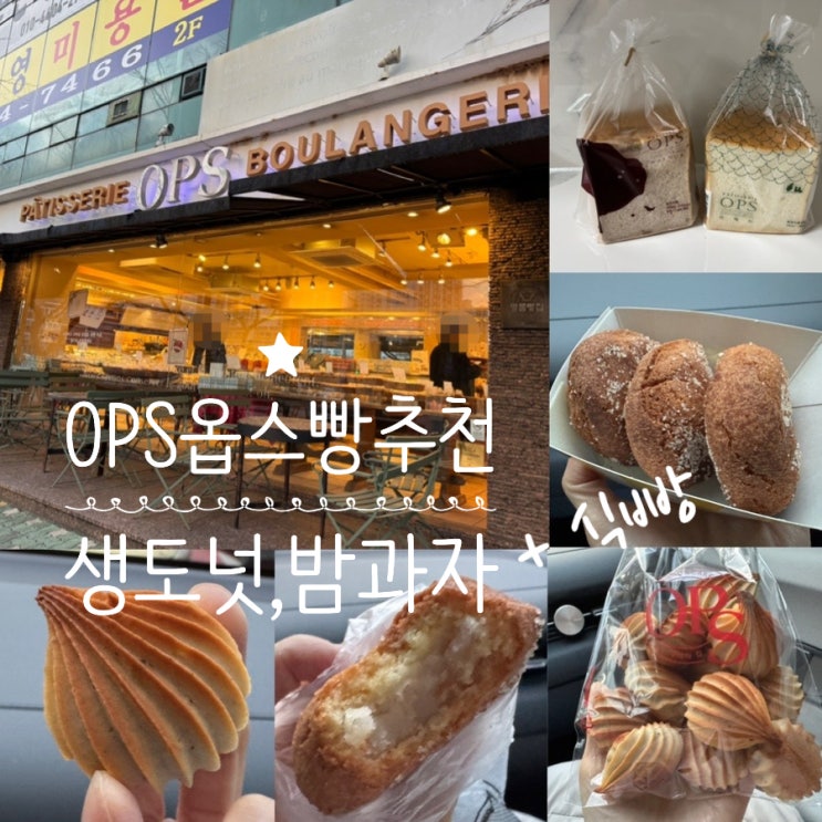 부산 빵맛집 OPS 맛있는빵 추천 생도넛, 밤과자, 식빵 ( 목장마을, 호두식빵) 내돈내산 옵스 신도시점