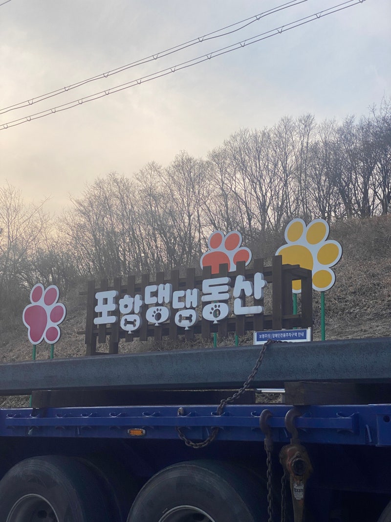 포항댕댕동산