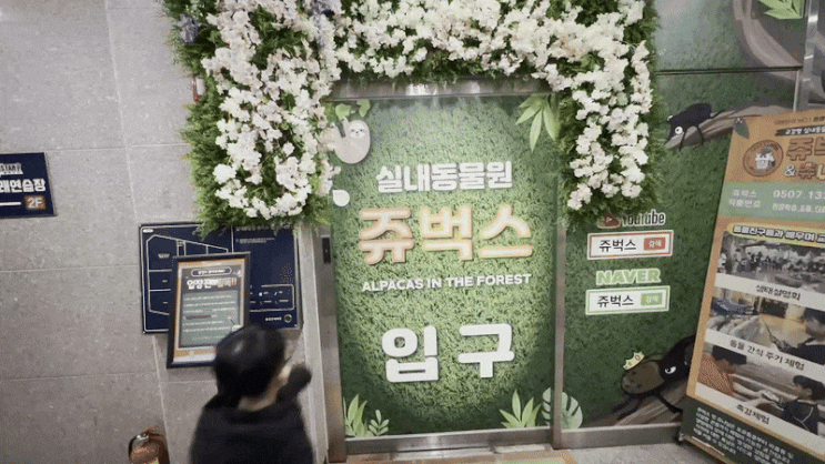  특별한 체험 쥬벅스 인천 시흥 실내동물원 아이와함께 갈만한곳이 여기있었네