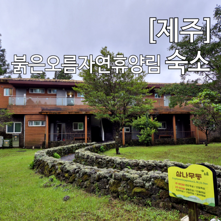  제주 붉은오름 자연휴양림 숙소 삼나무동 4인실 3만원 예약 후기
