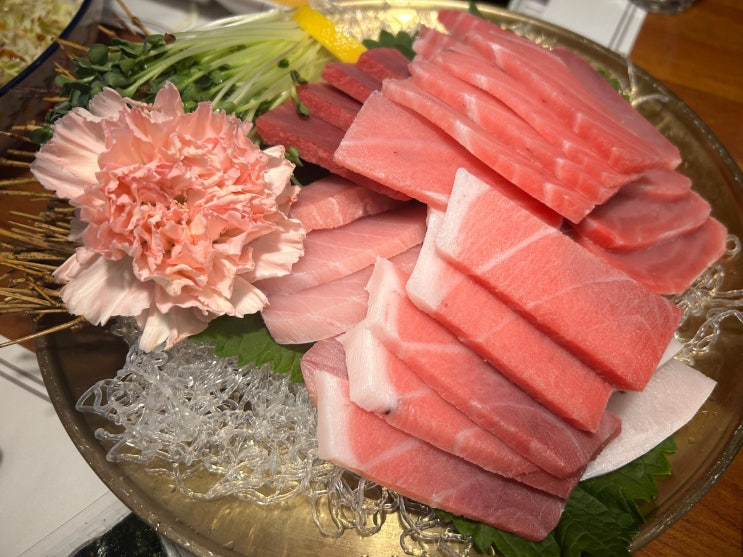  신설동역 분위기 좋은 참치회 맛집 추천 <강세호참치>(월화수 메뉴 모듬참치)
