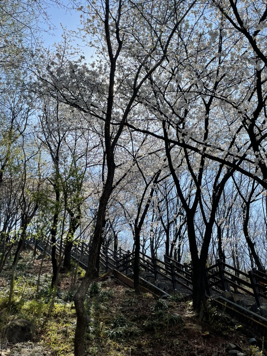 연지못 사진 2