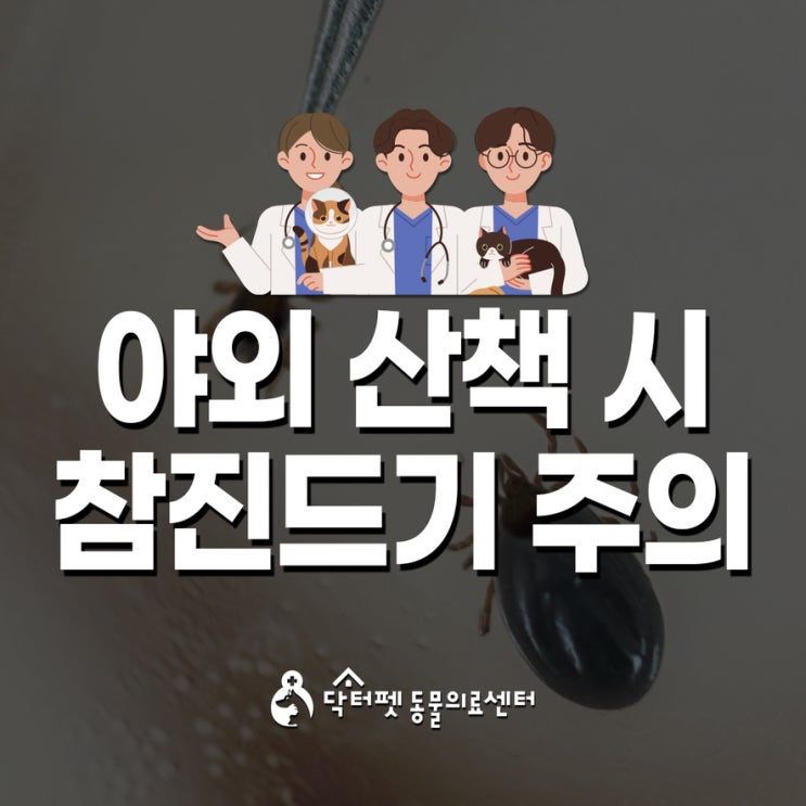  강아지 야외 산책 시 참진드기 주의! SFTS 중증열성혈소판감소증후군 외부기생충 부산동물병원
