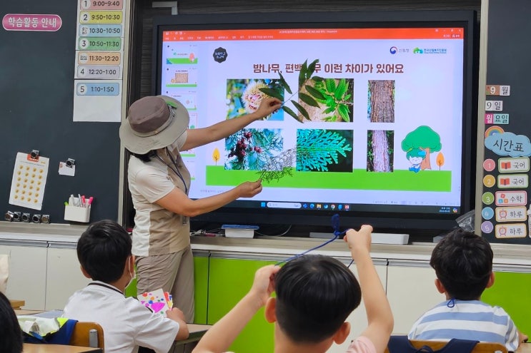 숲에서 행복을 배우는 아이들… 2025학년도 늘봄학교 숲교육 본격 운영 숲에서 행복을 배우는 아이들… 2025학년도 늘봄학교 숲교육 본격 운영