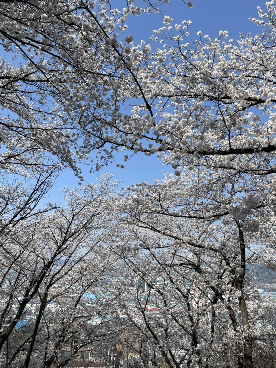 연지못 사진 3