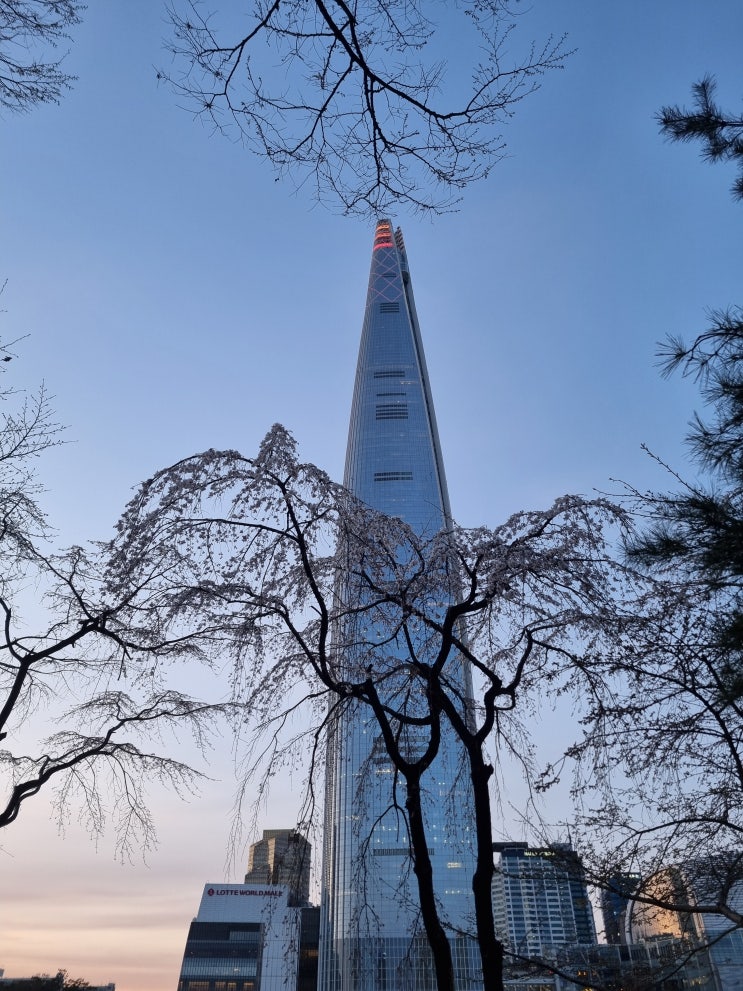  석촌호수 둘레길 야경 주차장, 잠실 석촌호수 벚꽃축제 실시간!