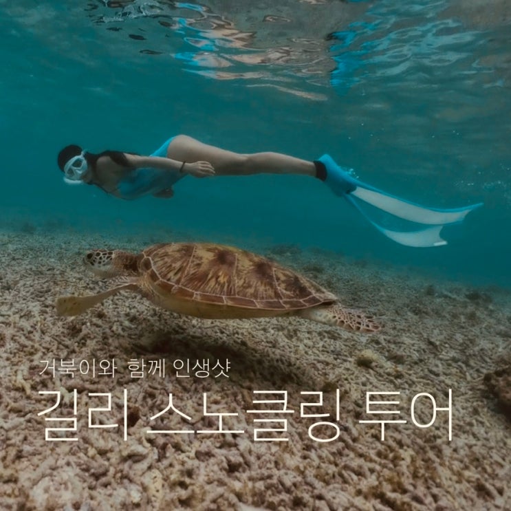  발리 길리 스노클링 프라이빗 투어 후기 인생샷꿀팁 퍼블릭투어와 비교