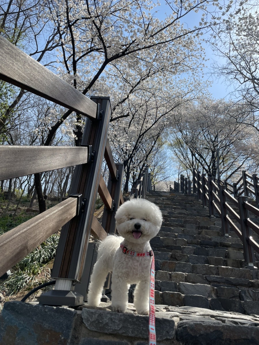 연지못 사진 5
