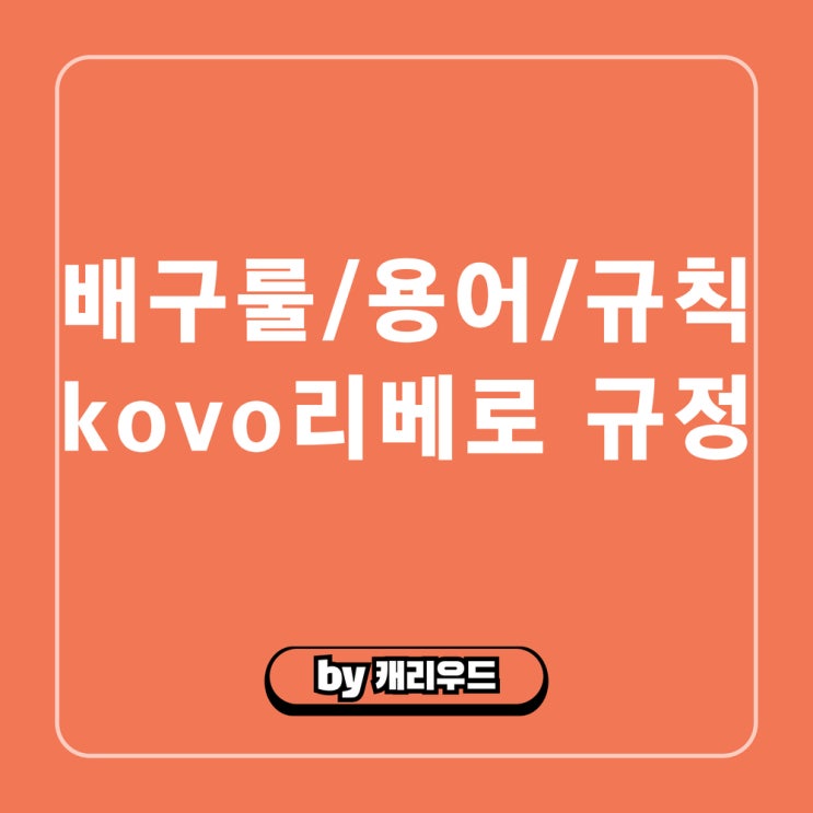  리베로 교체 규정 로컬룰 kovo 답변