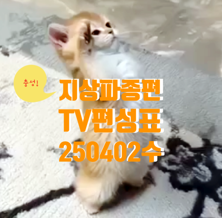 지상파 종편 TV편성표 250402 수
