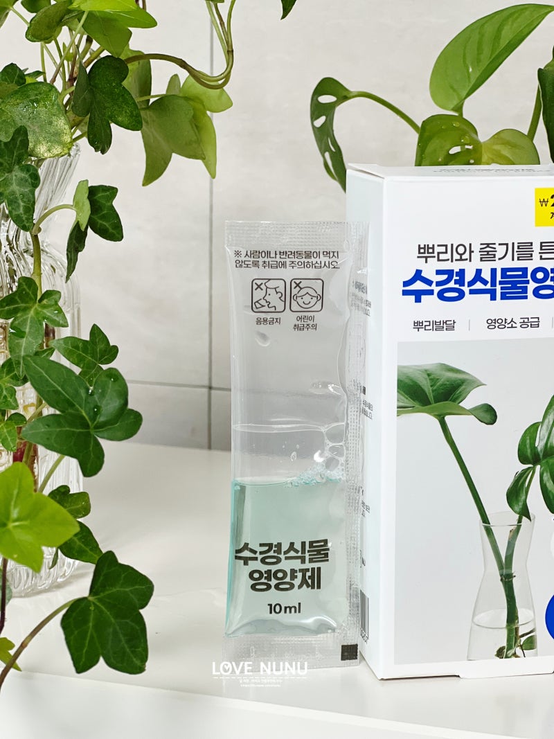 다이소 식물영양제 희석 방법 수경재배 영양제 챙겨요