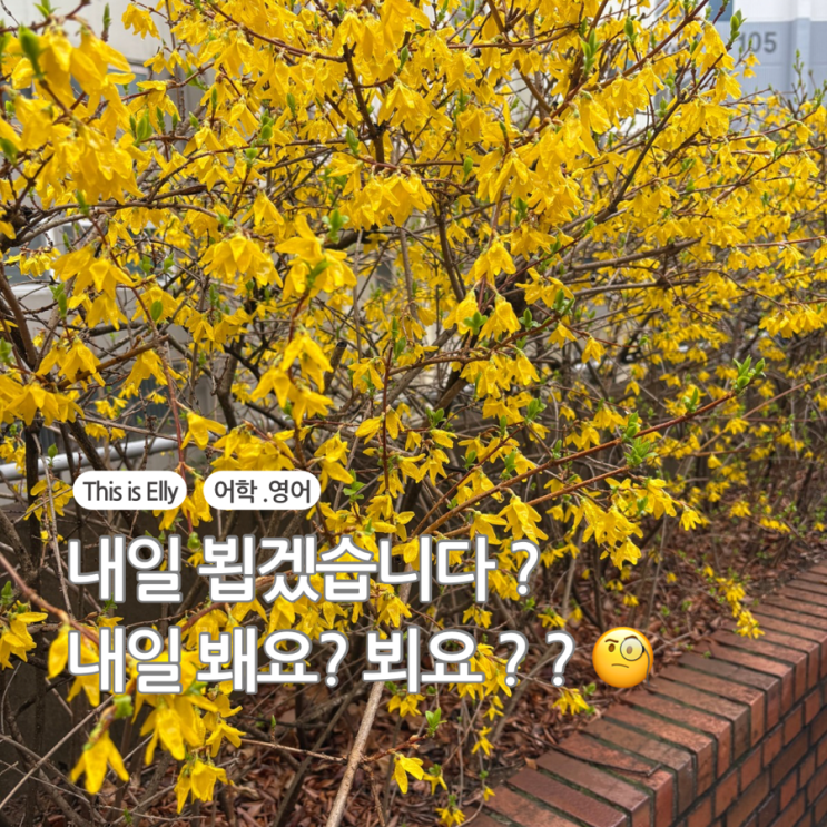  내일 뵙겠습니다 맞을까? 내일 봬요와 차이점 총정리!