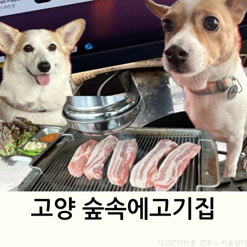 사진 9