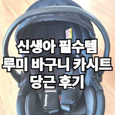 신생아 필수템!! 루미 바구니 카시트 당근, 분해, 조립 후기(사용법 메뉴얼 있어요)