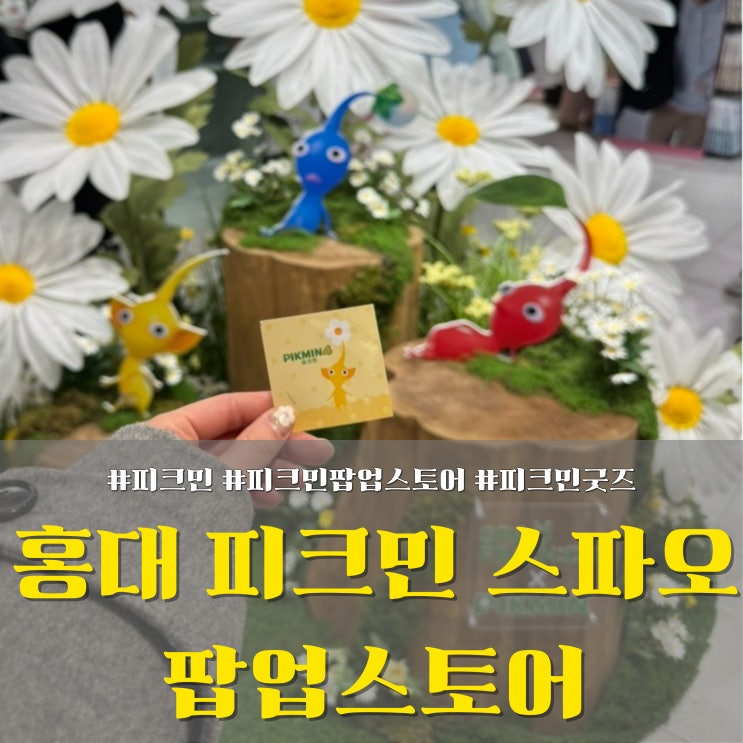  홍대 스파오 피크민 콜라보 팝업스토어! AK플라자 노랑 체리 피크민 티셔츠 & 스티커 득템 방법