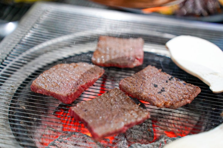  광주 등심 갈비살 다양한 부위 즐기는 소고기 맛집 한우뭉치