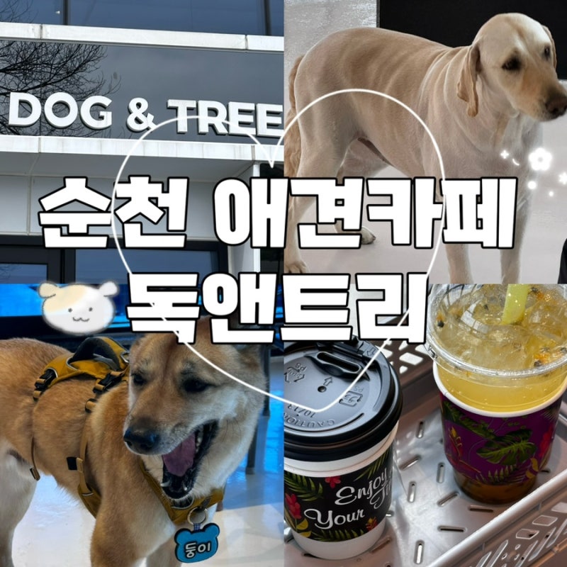 사진 7
