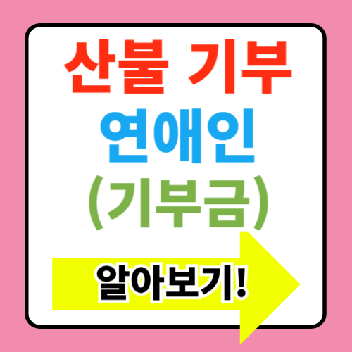  산불기부 연애인 기부금 알아보기