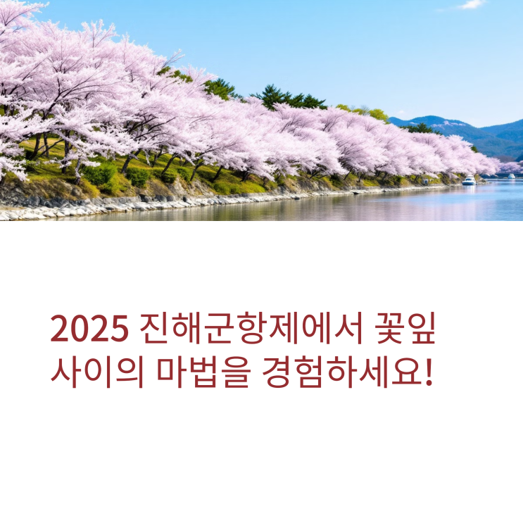  2025 진해군항제 완전정복! 이번 주말 벚꽃 절정 정보 총정리