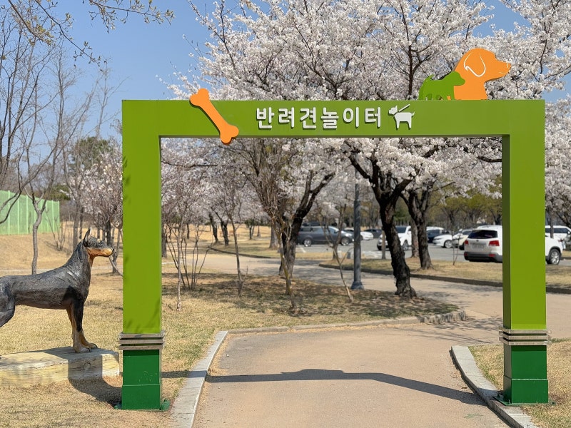 사진 3