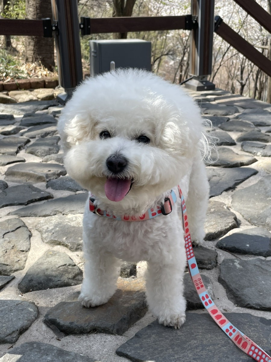 연지못 사진 6