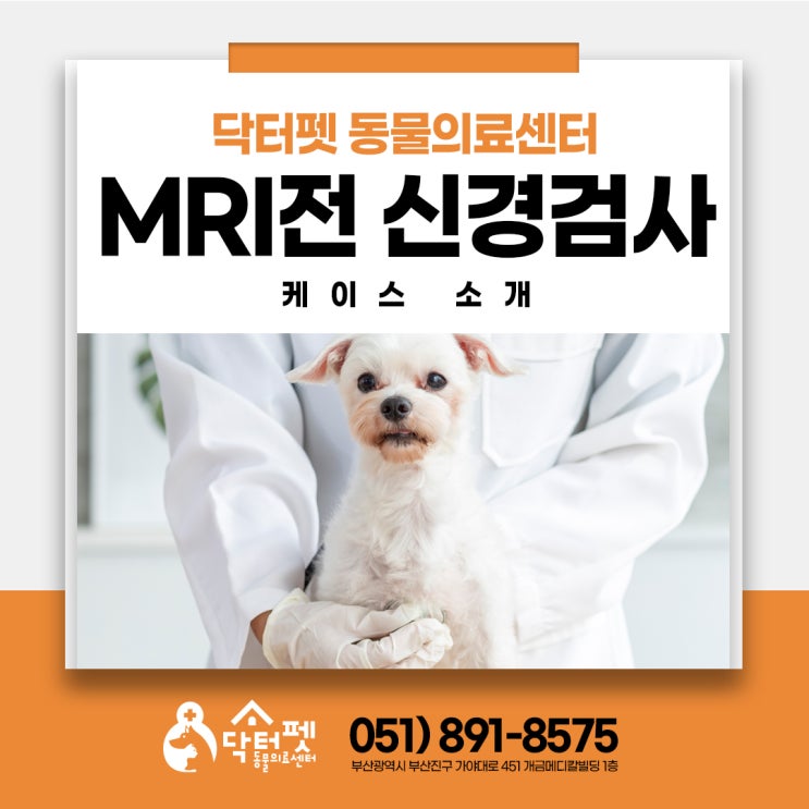  MRI 전 신경검사의 역할 (부산 사상구 강아지 신경계 동물병원 닥터펫동물의료센터)