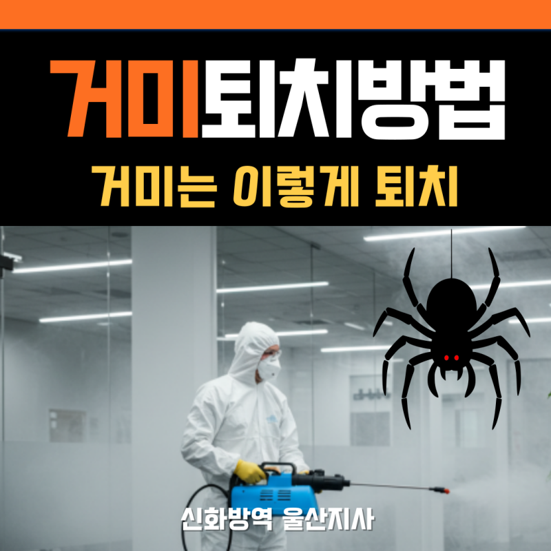 거미 퇴치방법을 알아봤어요