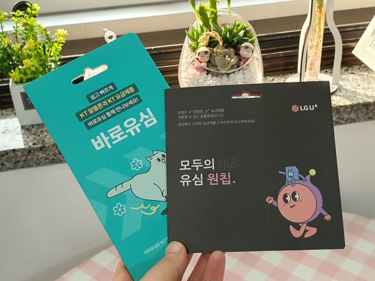  앤텔레콤 선불 유심 셀프 개통 과정