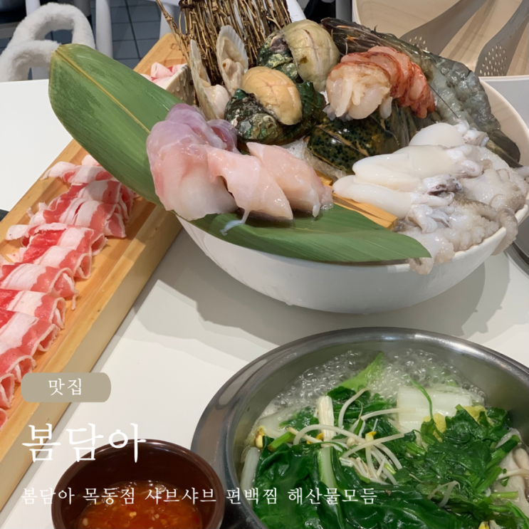  봄담아 목동점 샤브샤브 메뉴들 편백찜 해산물모듬