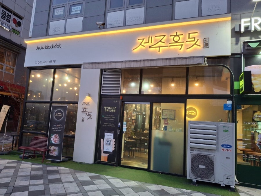 제주흑돗 사진