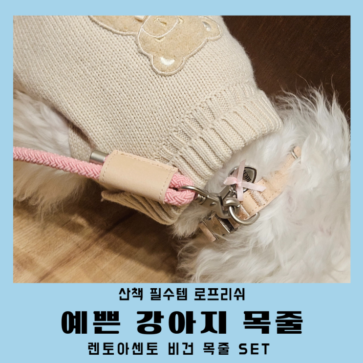  강아지목줄 세트 오프리쉬대신 렌토아센토 각인 로프리쉬