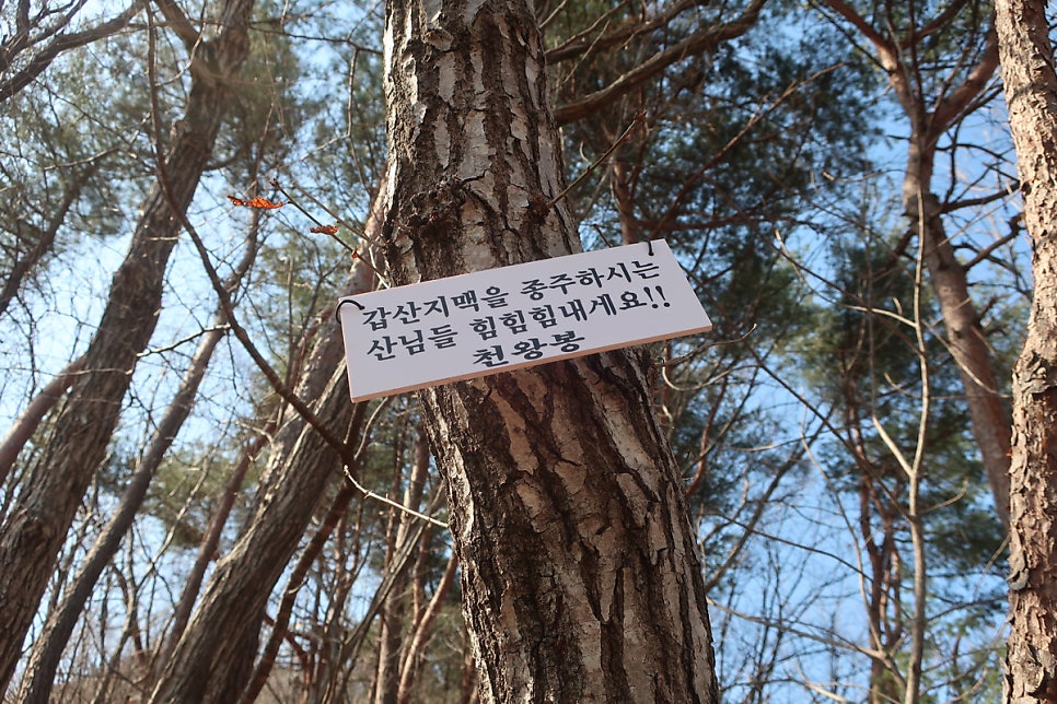 수름산 사진 6