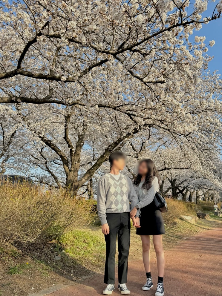  ️경주 벚꽃 명소 경주 꽃놀이 가볼 만한 곳(명소 추천, 맛집 추천)