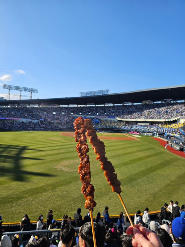  [3/28~3/30] 2025 KBO 삼성vs두산 잠실 첫 원정 3연전 관람 후기 (+티켓팅 후기, 좌석 시야 공유)
