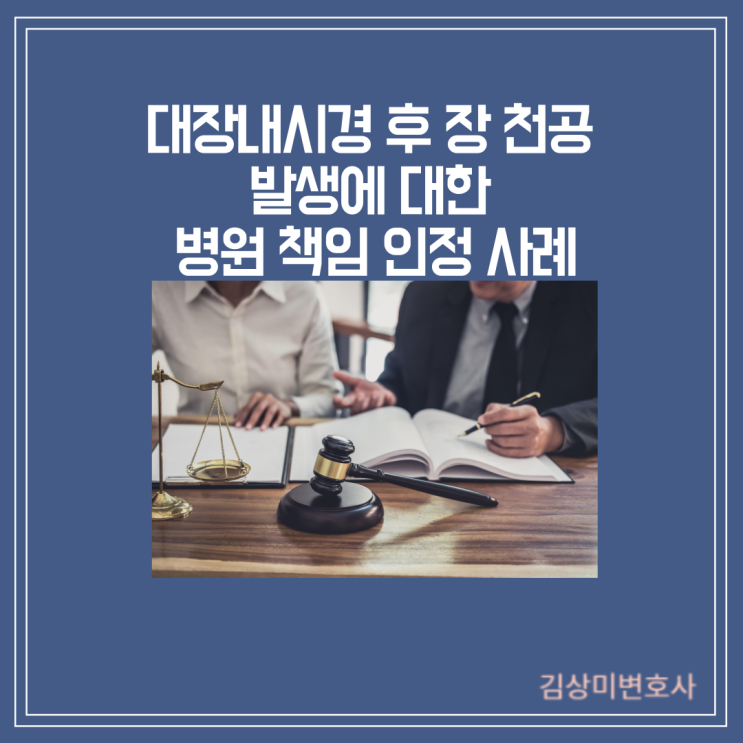  [부산/울산/경남 의료전문변호사] 대장내시경 후 장 천공 발생에 대한 병원 책임 인정 사례