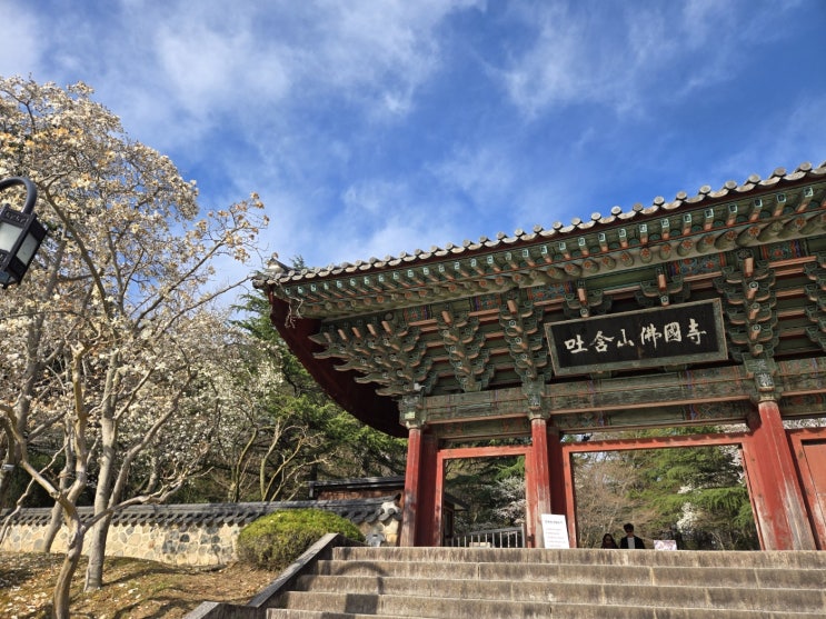 25.03.30 일요일 경주 당일치기!