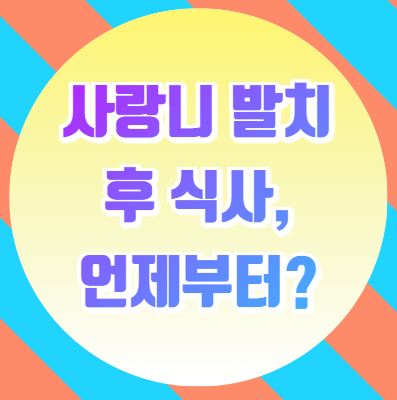  사랑니 발치 후 식사, 언제부터? 먹어도 되는 음식 총정리!
