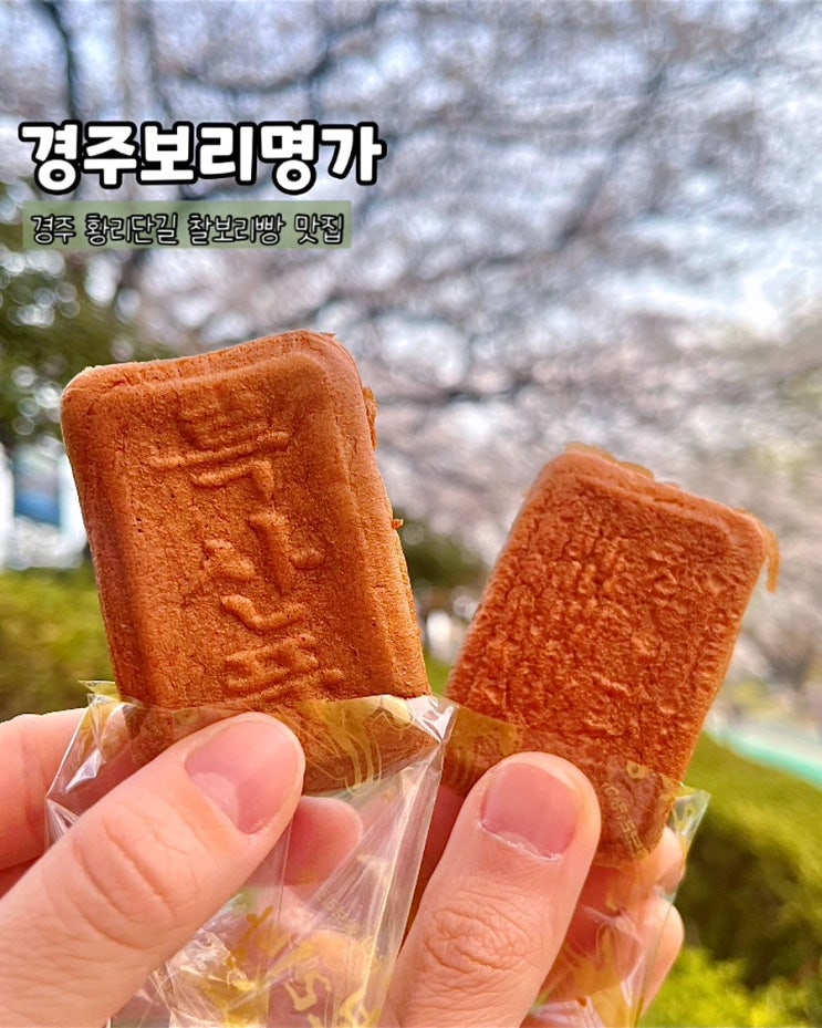  경주찰보리빵맛집 제로슈가 저당 다이어트 디저트 선물 경주보리명가