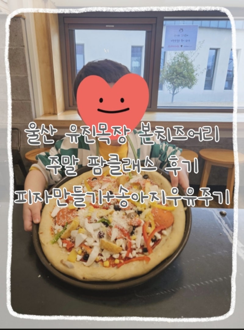 울산 아이랑 유진목장 본치즈어리 주말 팜클래스 후기 피자만들기 송아지우유주기