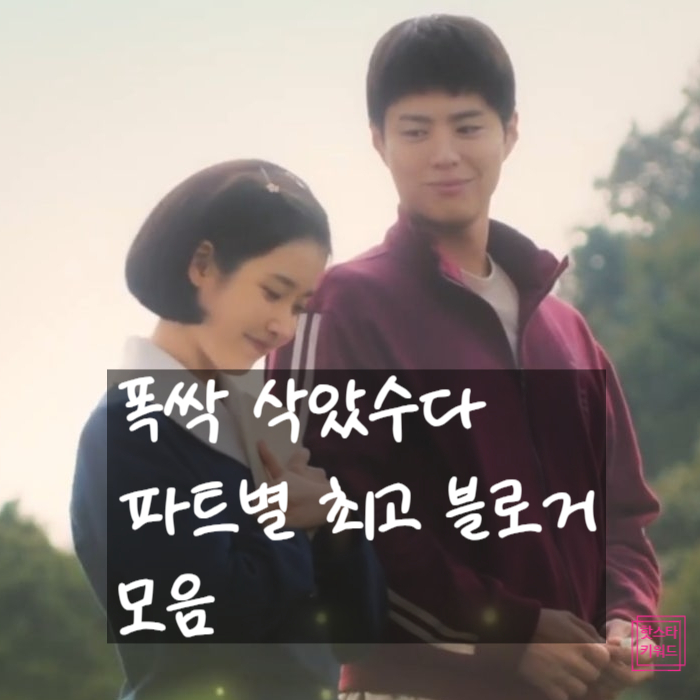  폭싹 속았수다, 파트별 최고의 네이버 블로그 추천!
