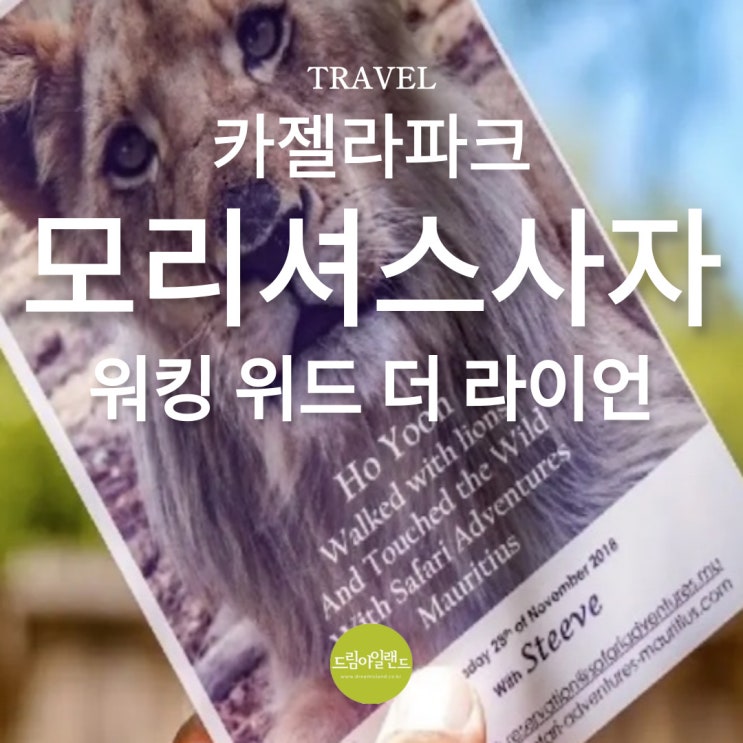  모리셔스 사자와 함께 산책해요 카젤라파크 워킹 위드 라이언