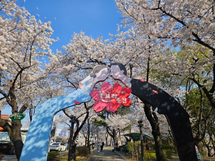  대구 벚꽃명소 꽃보라동산 꽃구경 4월 봄 데이트 코스
