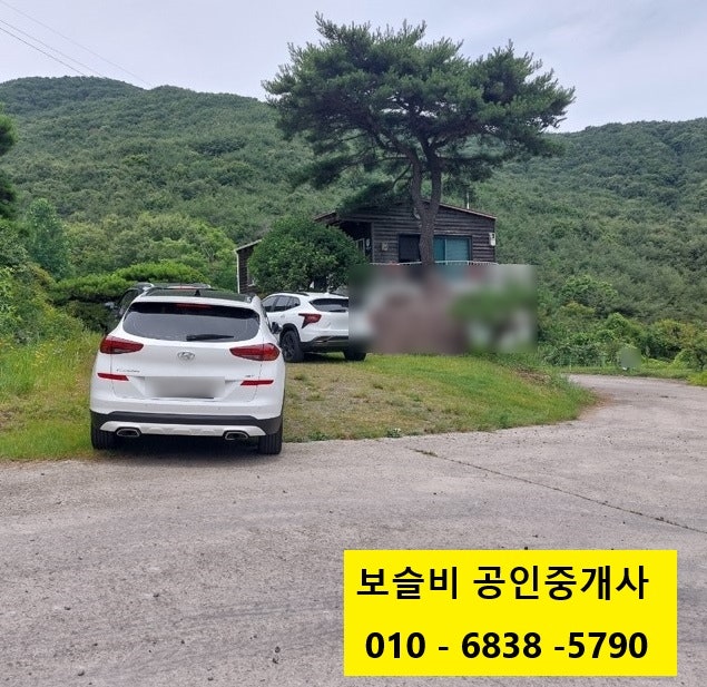 힐링숲 사진 4