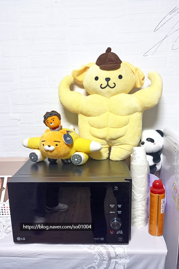강촌프로방스펜션 사진 5