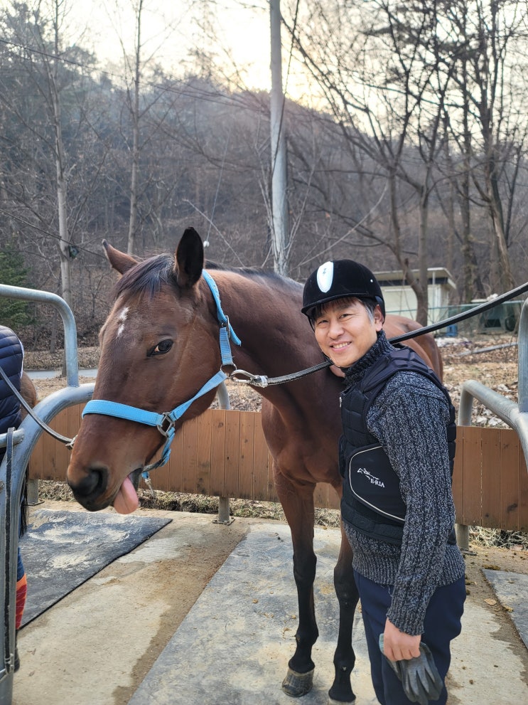  승마 레슨 및 승마 체험 힐링승마 지원 사업 신청 승마 비용 40% 할인 방법 안산 해피 승마장