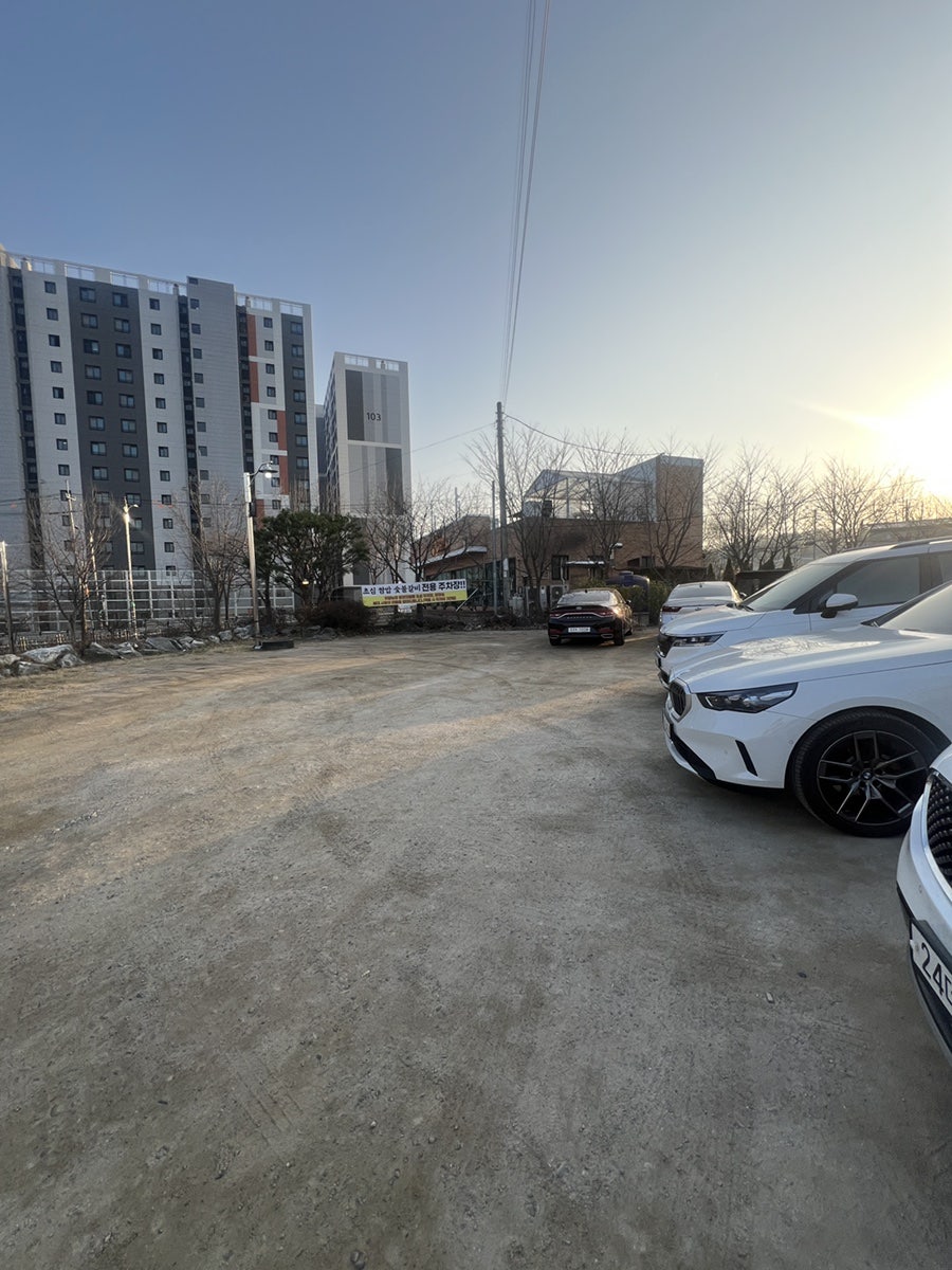 초원 사진 4