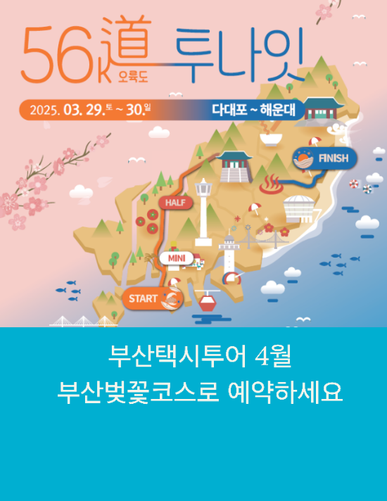  부산택시투어 4월 부산벚꽃코스로 예약하세요
